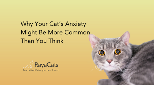 Calming Cat Supplement Cat Anxiety Relief Cat Stress Support Natural Cat Supplements Feline Wellness