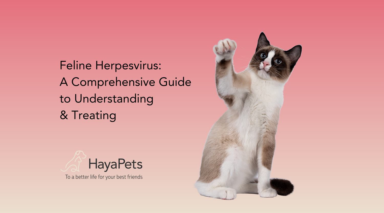 Feline herpesvirus a comprehensive guide to understanding and treatin